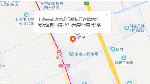 上海英武功夫闵行万达馆.png